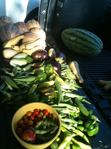 [produce2%255B3%255D.jpg]