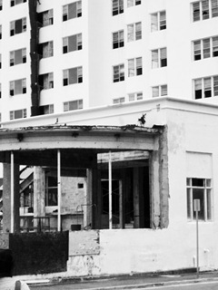 Shadows-of-Miami-3