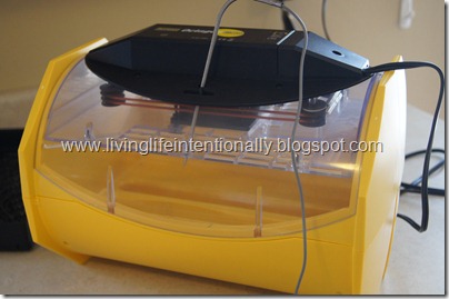 Brinsea 20 Incubator for homeschool science chicken egg hatching Brinsea 20 Incubator for homeschool science chicken egg hatching
