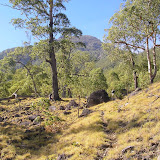 Higher up the trail to Gn Egon (Daniel Quinn, August 2010)