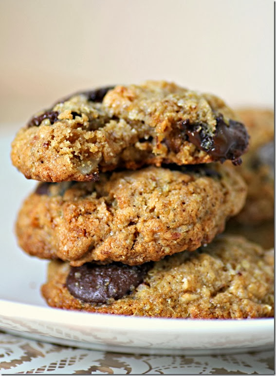 quinoa2 quinoa2