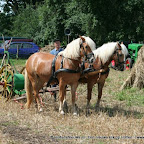 graanoogst-09-032.jpg