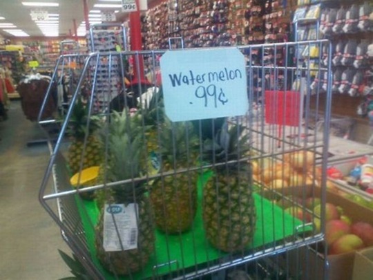 [chobbler%2520picdump%252046%255B2%255D.jpg]