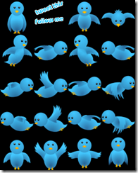 flying twitter for website design blog