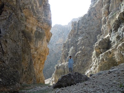 DSCN3945.jpg