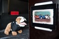 MINI-Camper-Concepts-43_thumb.jpg?imgmax=800