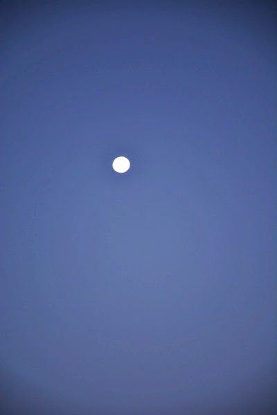 DSC_3771.jpg DSC 3771