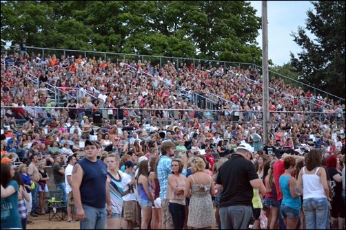 concert crowd