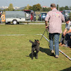 IMG_2948.JPG