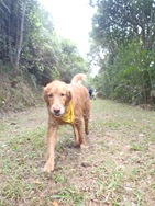 [Patas211604.jpg]