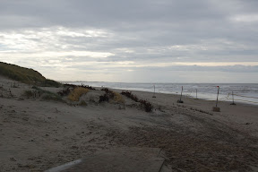 DSC_0130.JPG