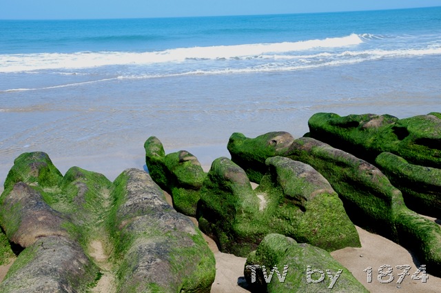 [DSC_5970%255B13%255D.jpg]