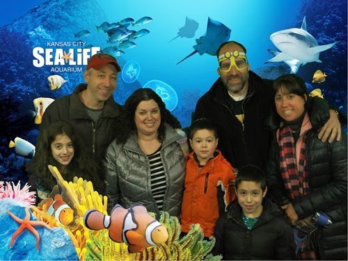 aquarium aquarium