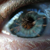 arachnofobia.jpg