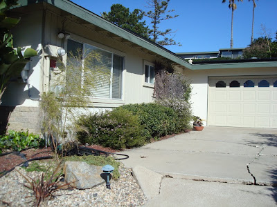 You can see just how badly the driveway was cracked in this picture.