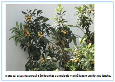 [image%255B40%255D.png]