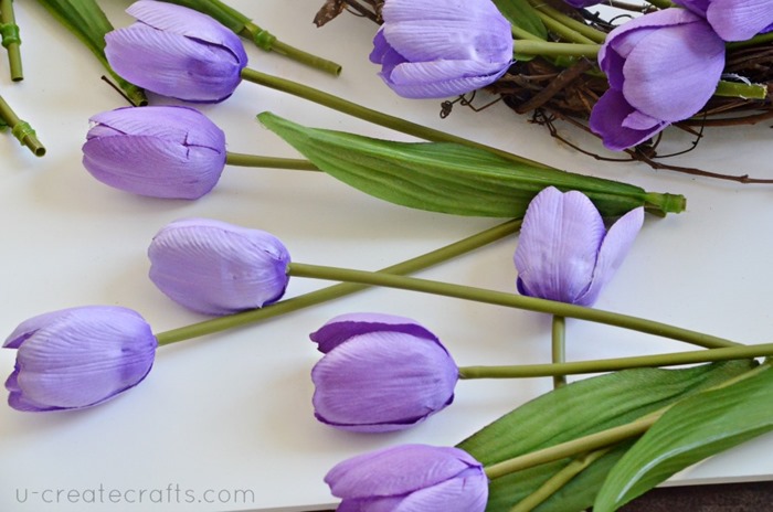 lavendar tulips