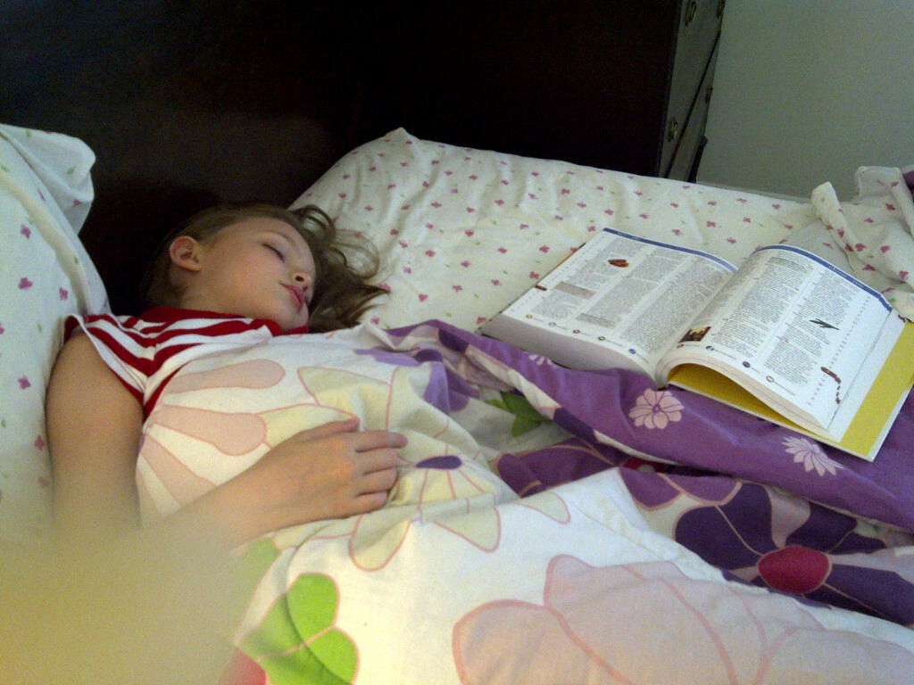 [IMG-20110614-00190%255B2%255D.jpg]