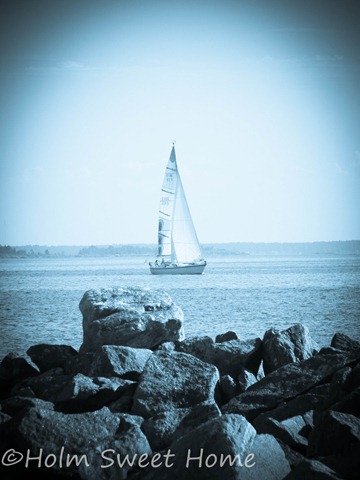 DSCF0312 DSCF0312