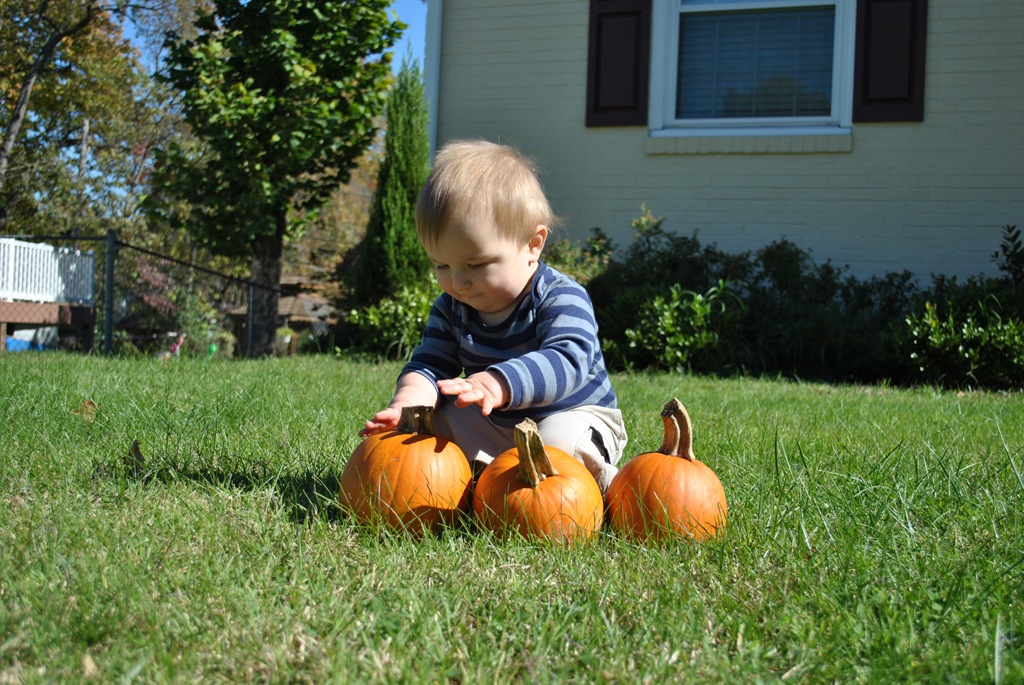 [DSC_0663%255B6%255D.jpg]