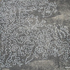 DSCN7546.JPG