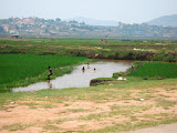 This photo was just taken from our car window on the outskirts of Tana. Even in the middle of the urban sprawl people are still working agriculture for their livelihood. IMG_1427.jpg