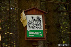 Upozornění na výskyt chráněných šelem. Jako na jediném místě v ČR zde žijí pohromadě velké šelmy - vlk obecný, medvěd hnědý a rys ostrovid.