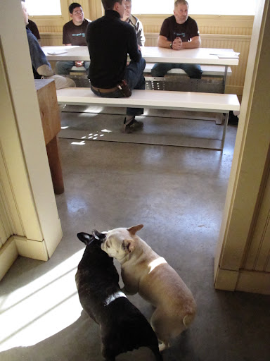 Francesca, let's sneak out of the meeting.