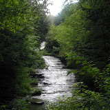 Edmond Niles Huyak Preserve - IMAG0497.jpg