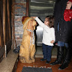 IMG_5006.JPG