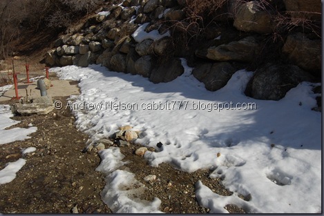 DSC_0958 DSC_0958