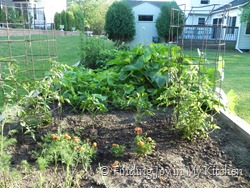Garden - July 15, 2011 Garden - July 15, 2011