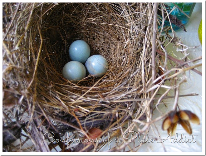 Nest