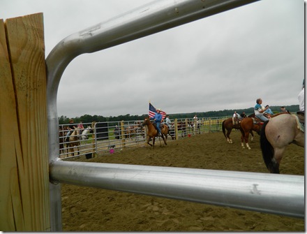 Team Penning 2011 007