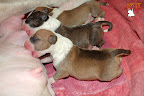 Boy 2 - 2 days
