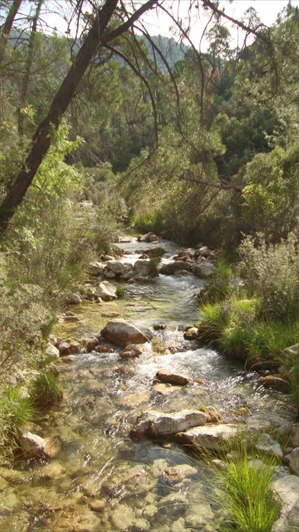 [cazorla%2520035%255B5%255D.jpg]