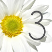 Table Number/Name