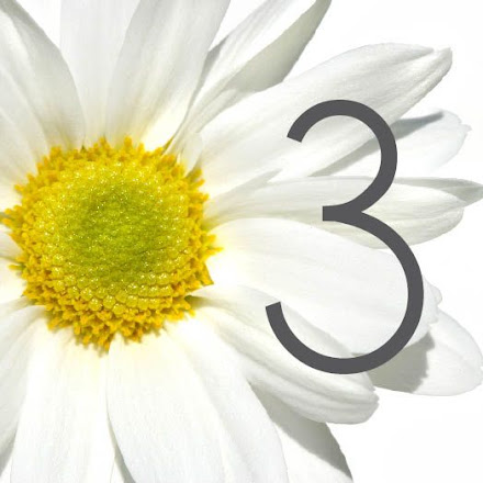 Table Number/Name