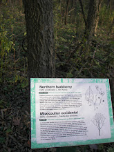 CC BY-SA liv.monck.whipp 100_8346