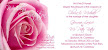 Flat Invitation