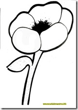amapola-01