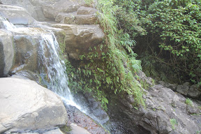DSC_0767.JPG