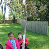 Earth Day Activities
