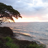 DSC01384.JPG
