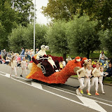 DSC07011.JPG