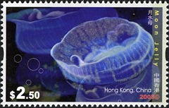 HK023-08 HK023-08