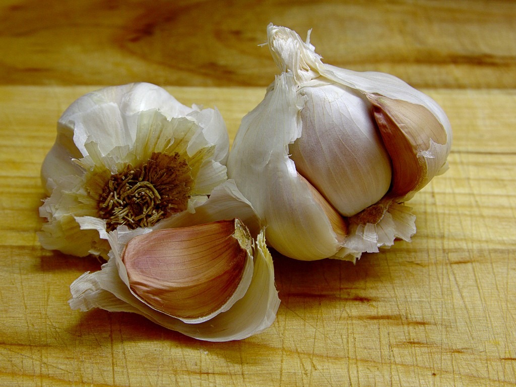 [garlic_bg_20090519%255B3%255D.jpg]