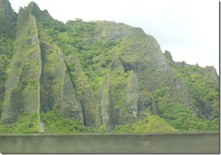 DSCF0330 DSCF0330
