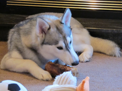 Zoe's new cousin, Chloe!