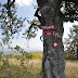 2011.09.11. - Trdinov vrh